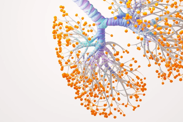 Respiratory visual of a lung
